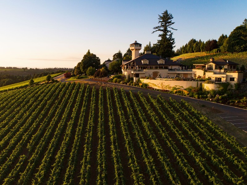 Willamette Valley Vineyards