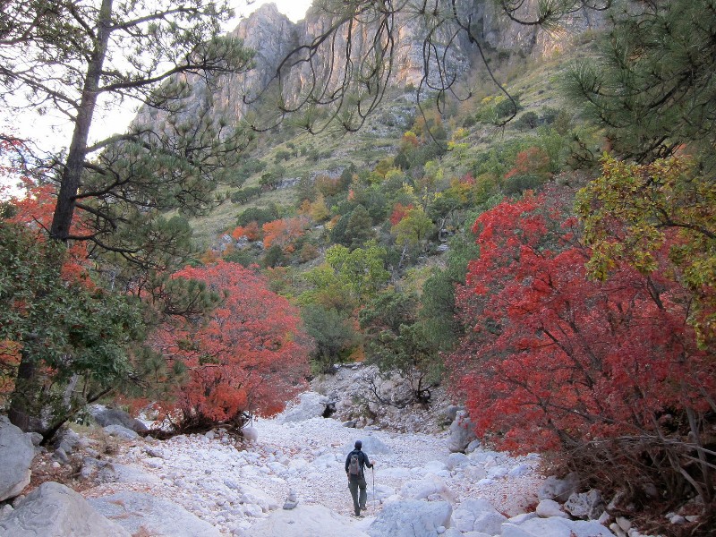 Devil's Hall Trail