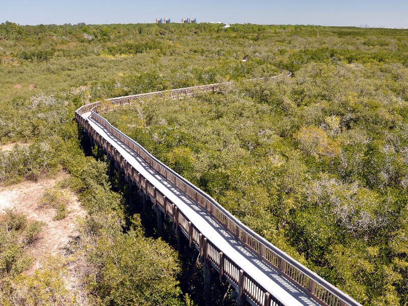 Weedon Island Preserve