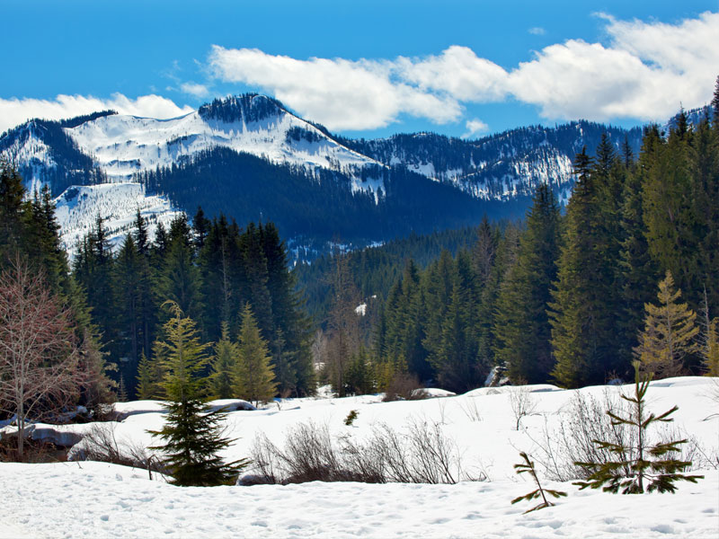 Gold Creek Mount Hyak Snoqualme Pass