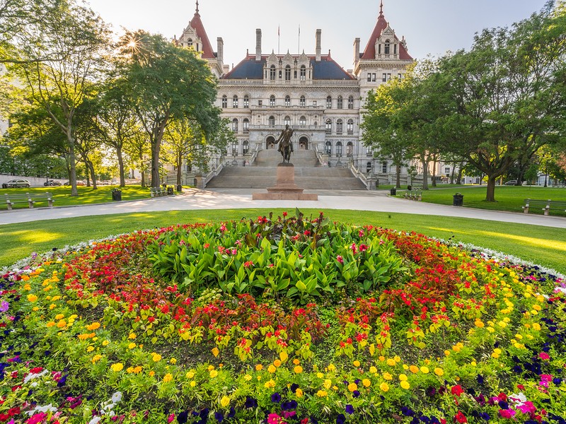 Flowers in Albany, New York