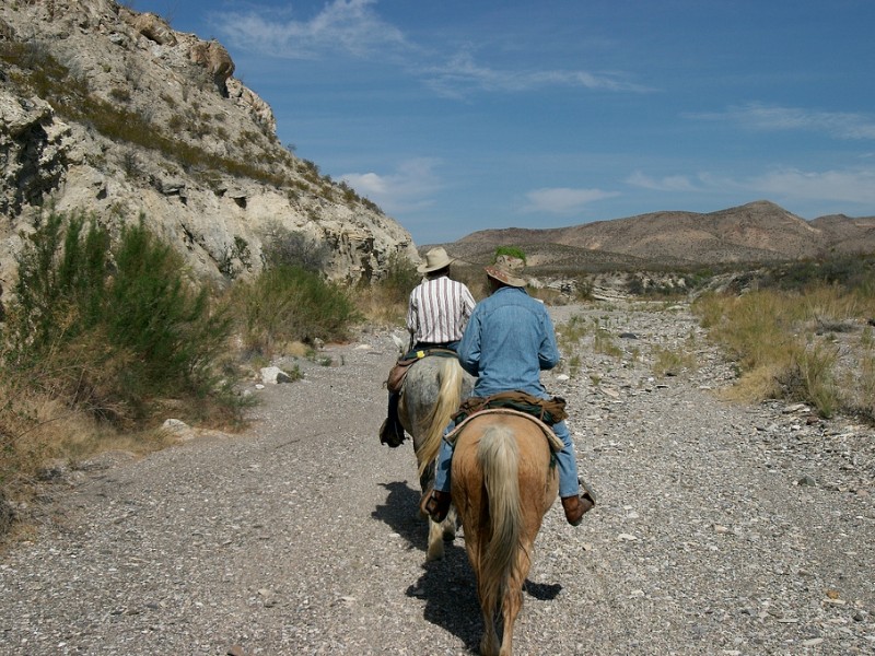 Horseback Riding