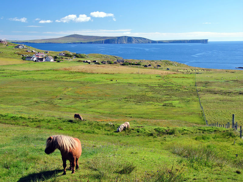 Shetland Islands, Scotland