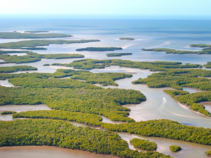 Ten Thousand Islands National Wildlife Refuge, Naples