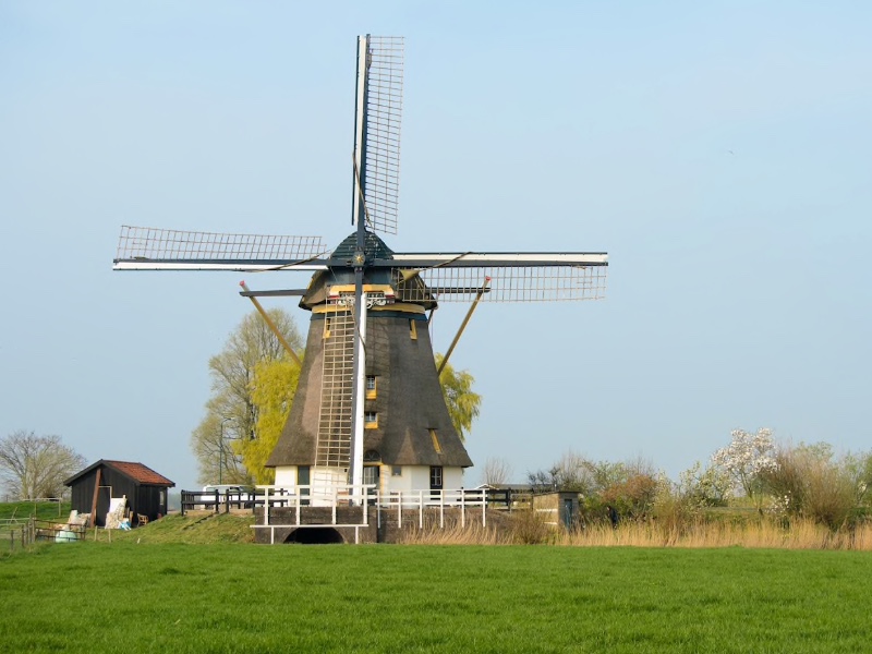 Windmill Close to Amsterdam