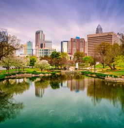 Cityscape in distance and pond in foreground