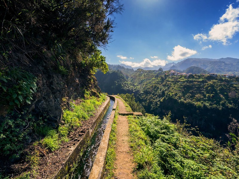 Levada Walks