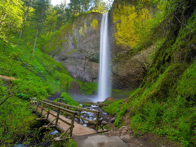 Wooden foot bridge along hiking trail by Latourell Falls in Columbia Rover Gorge Oregon
