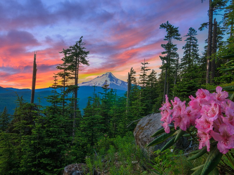 Majestic View of Mt. Hood on a bright colorful sunset.