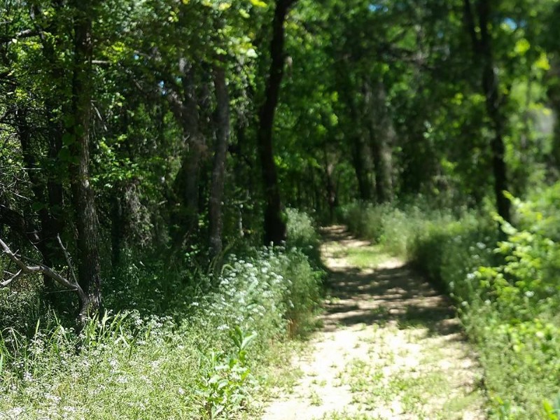 Cedar Hill State Park 