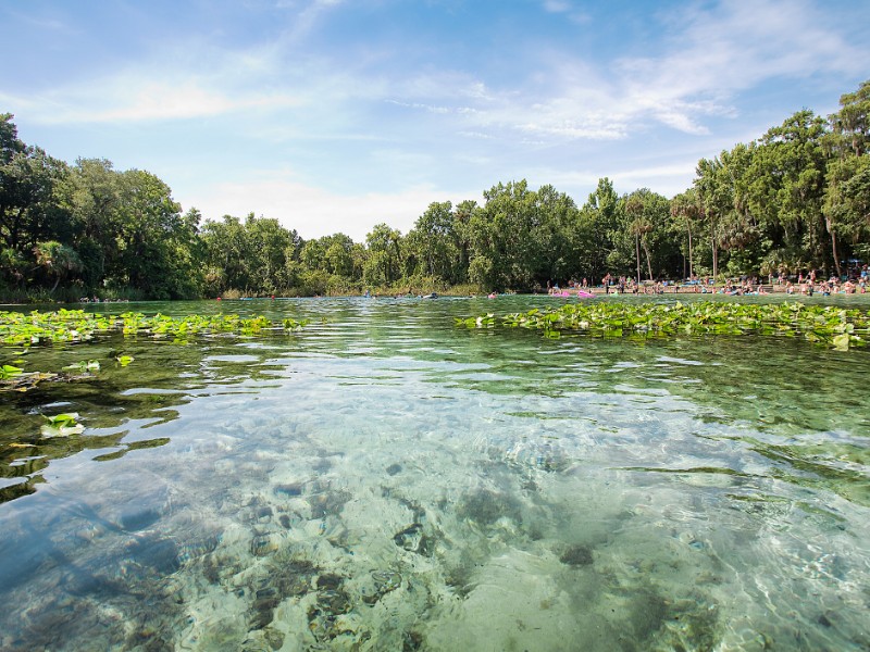 Alexander Springs Recreation Area