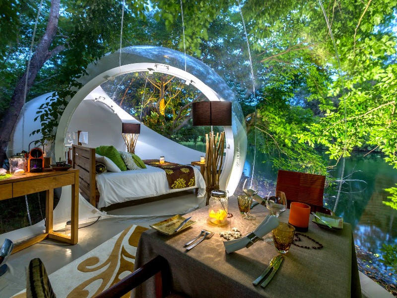 Bubble Lodge 
