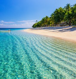 beach view at Dravuni Island, Fiji