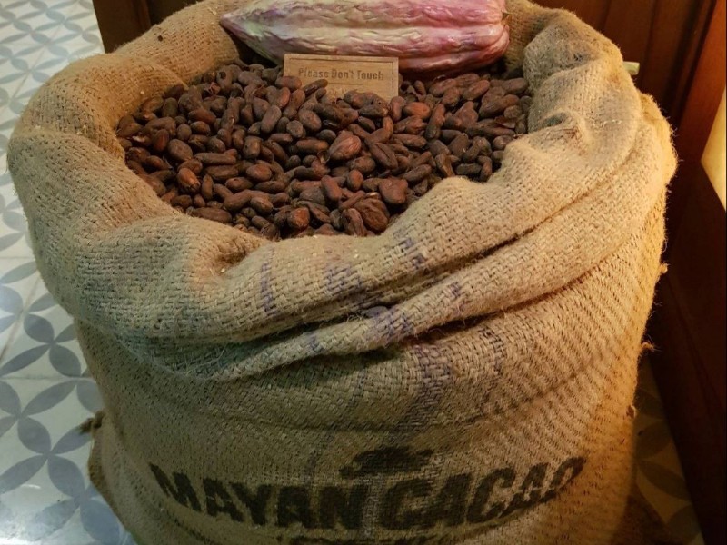 Mayan Cacao Company, Cozumel, Mexico