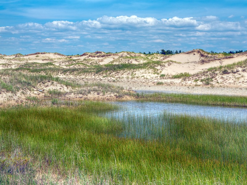 Michigan's Ludington State Park