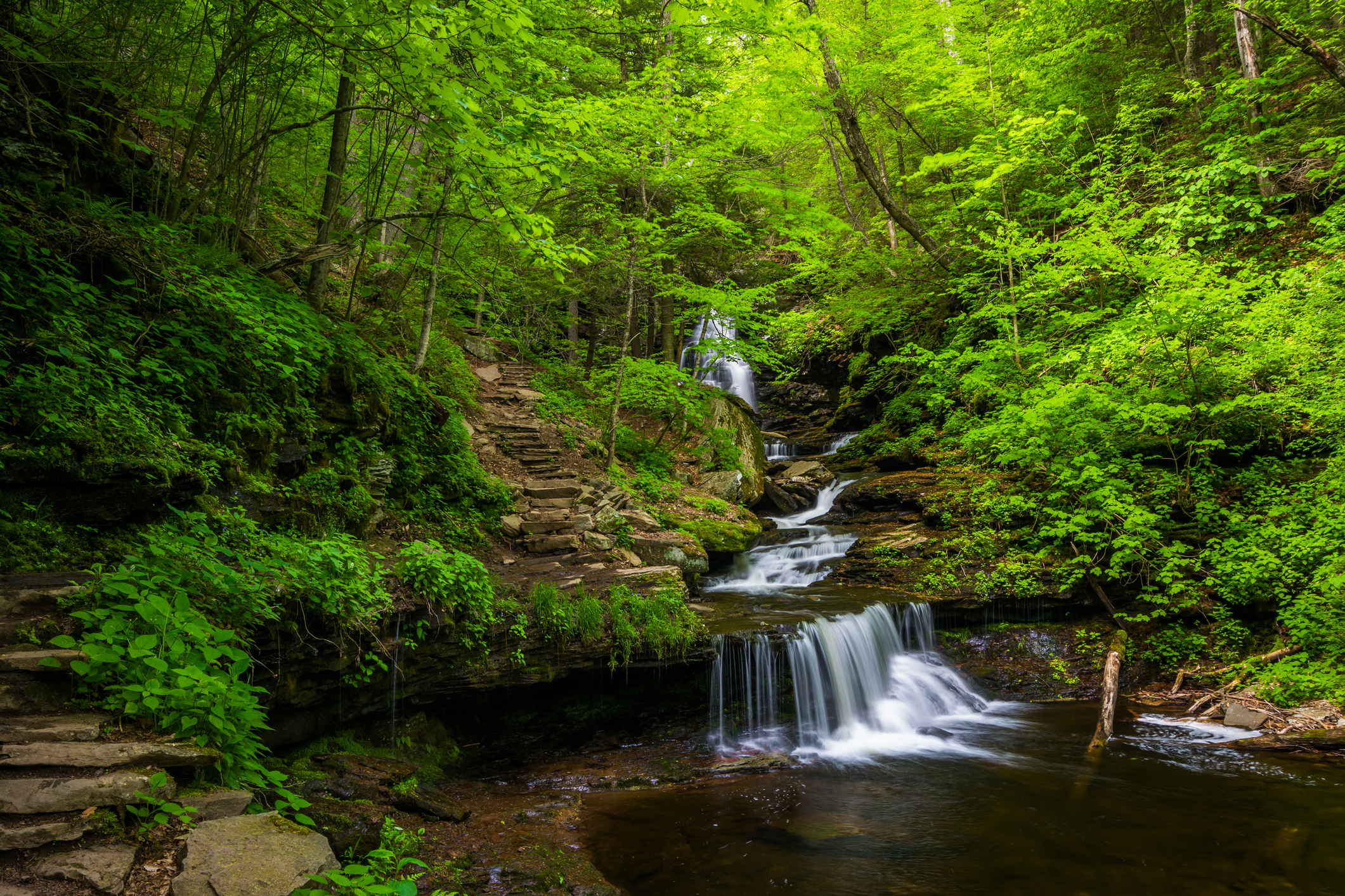 Ricketts Glen State Park, Pennsylvania