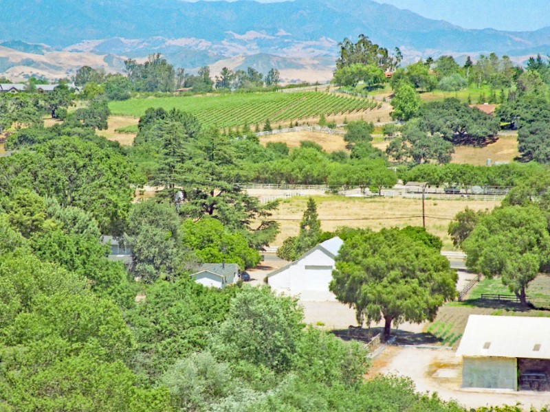 Santa Ynez Valley Wine Country