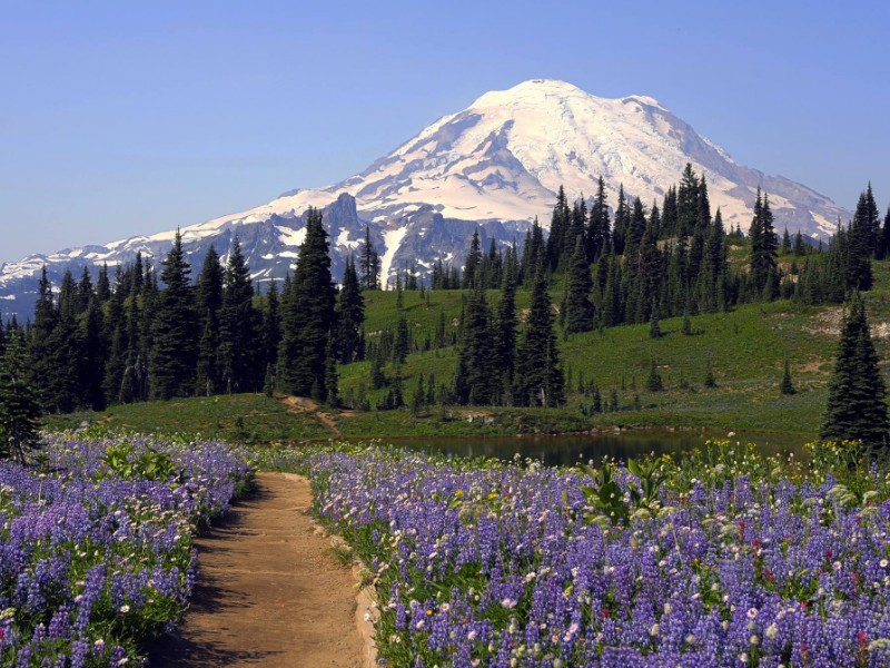 Mount Rainier National Park, Washington