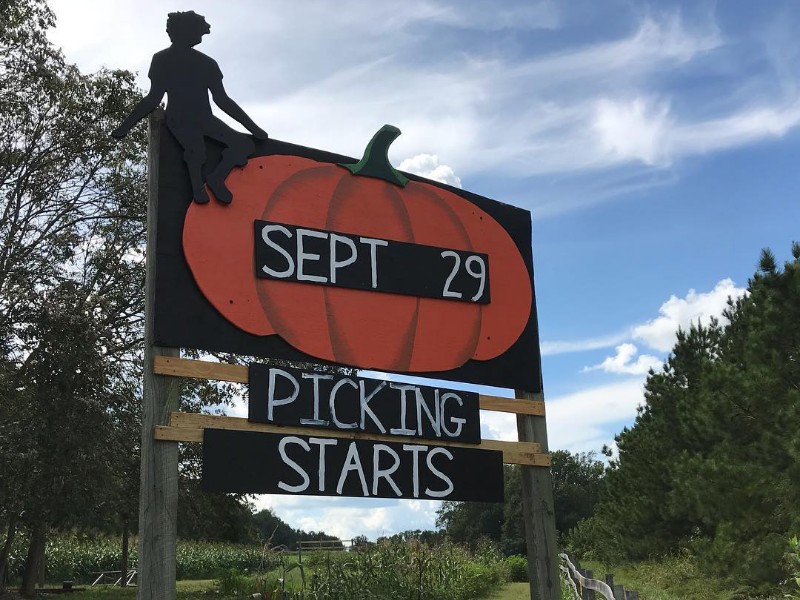 Huckleberry Trail Farm, Siler City