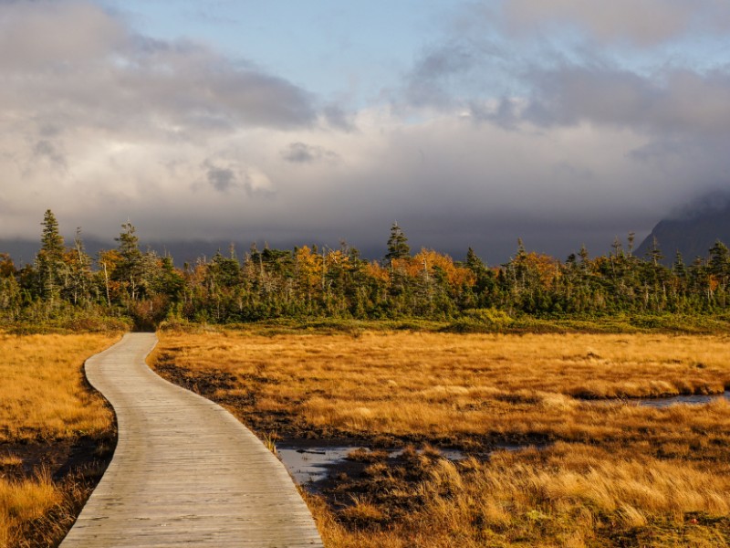 Gros Morne National Park