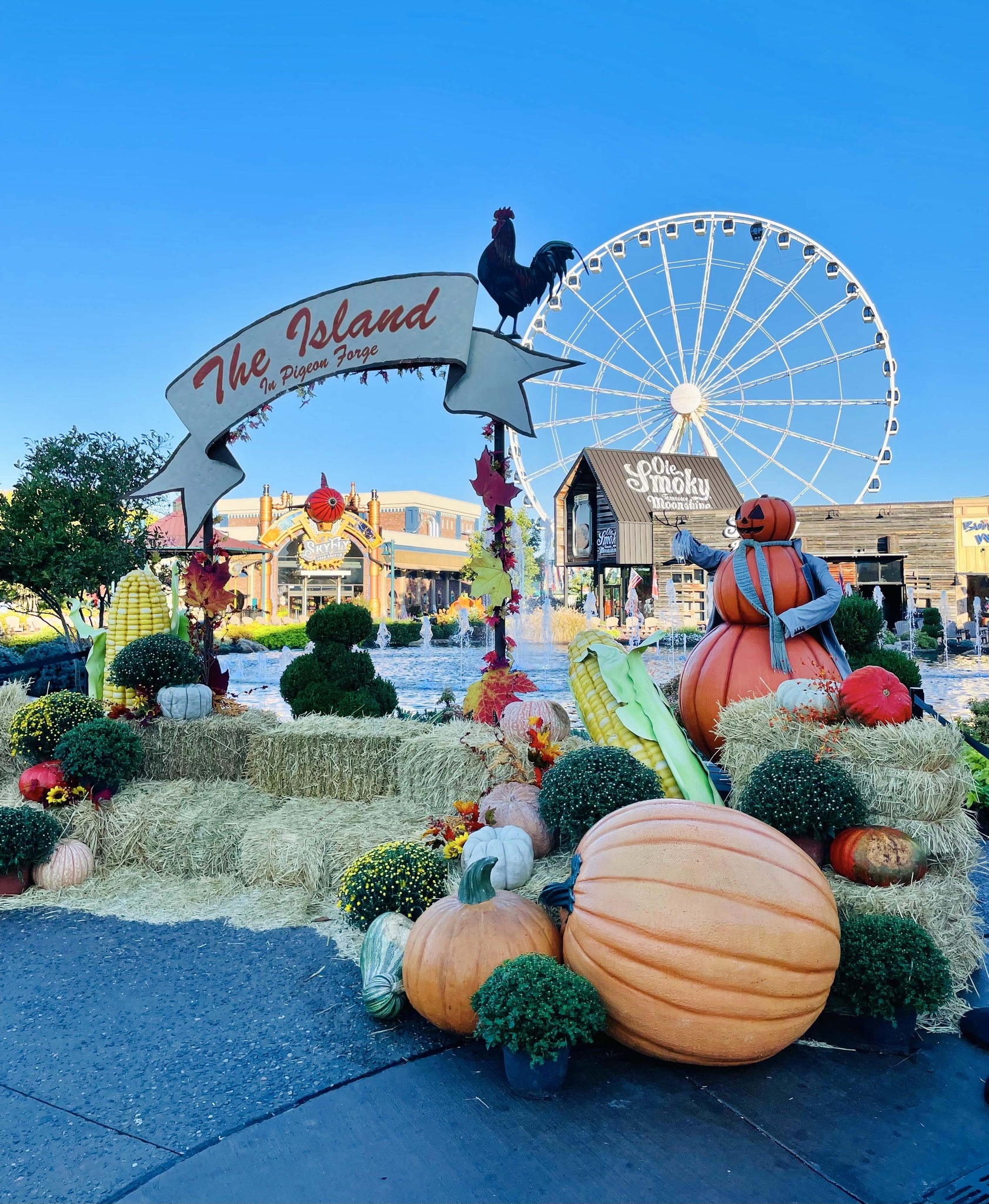 The Great Smoky Mountain Wheel at The Island at Pigeon Forge 