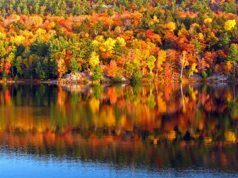 Killarney National Park, Ireland in the fall