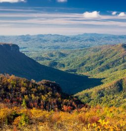 green mountain range covered leaves just starting to change color