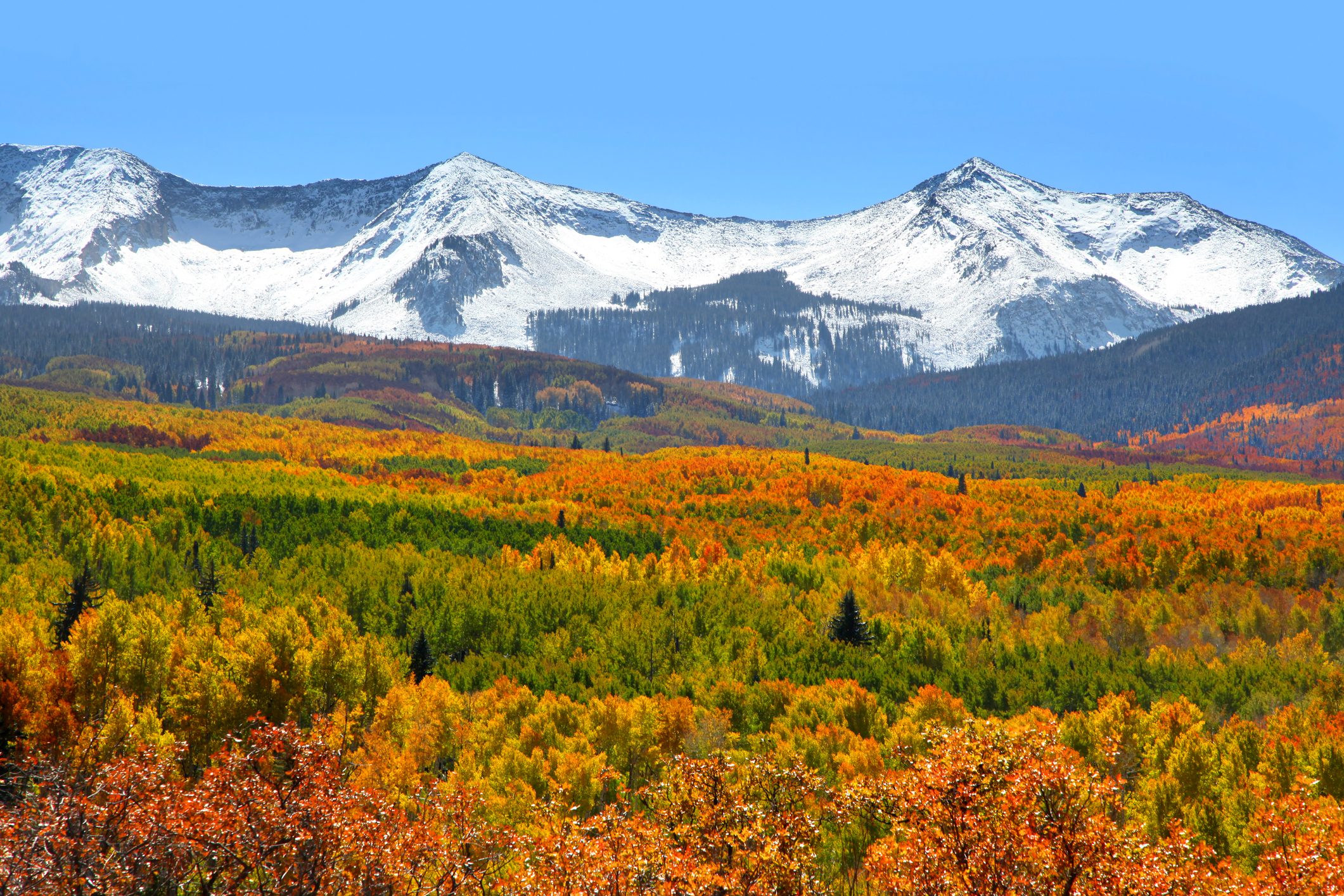 Kebler Pass