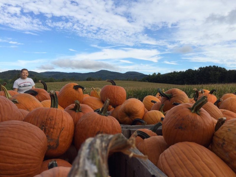 Grandad's Apples N' Such has a pumpkin patch, corn maze, petting zoo and Country Store.