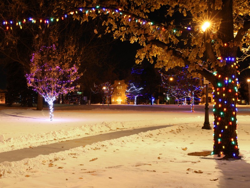 Greeley Lights the Night Parade 
