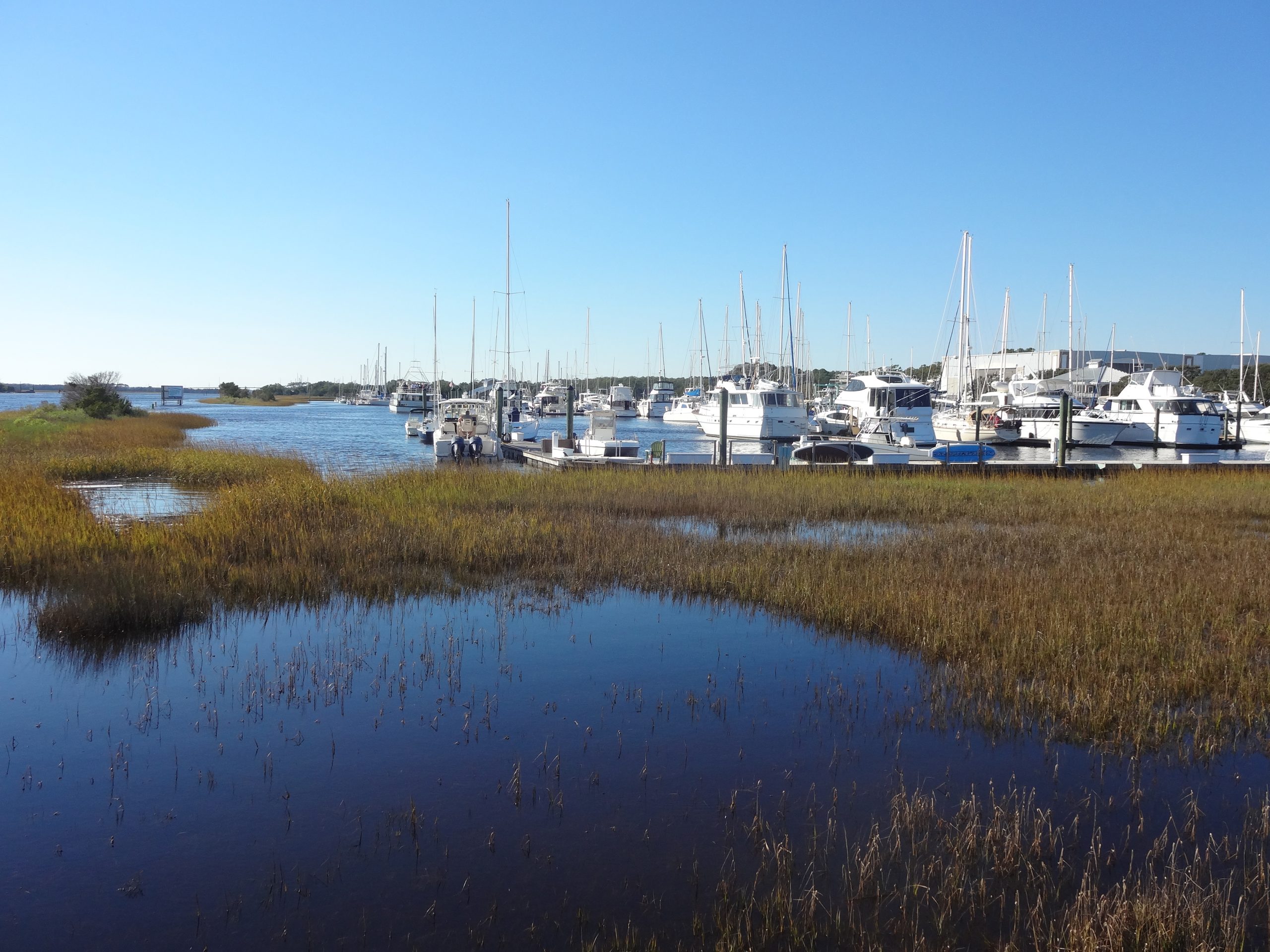 Boats docked at the marina in Southport, NC