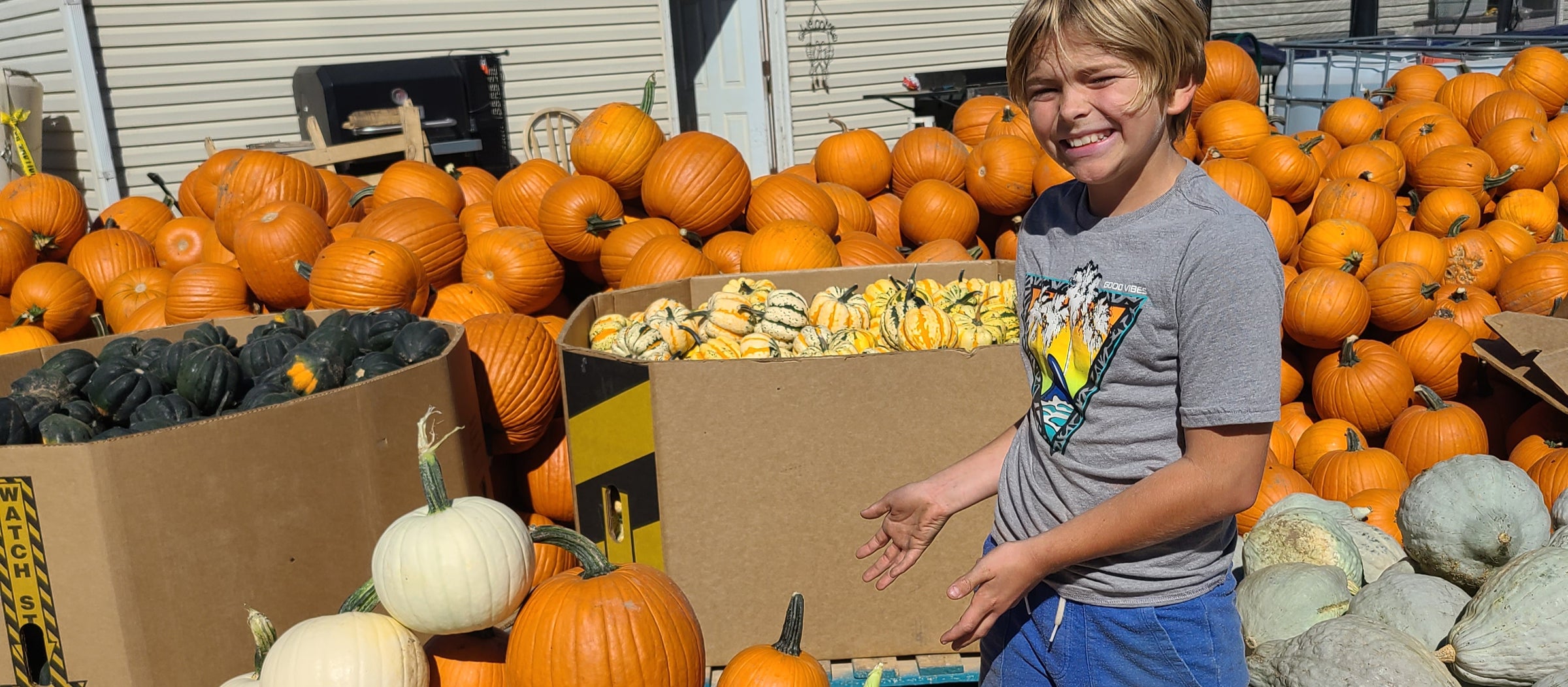 Miller Farms Fall Festival