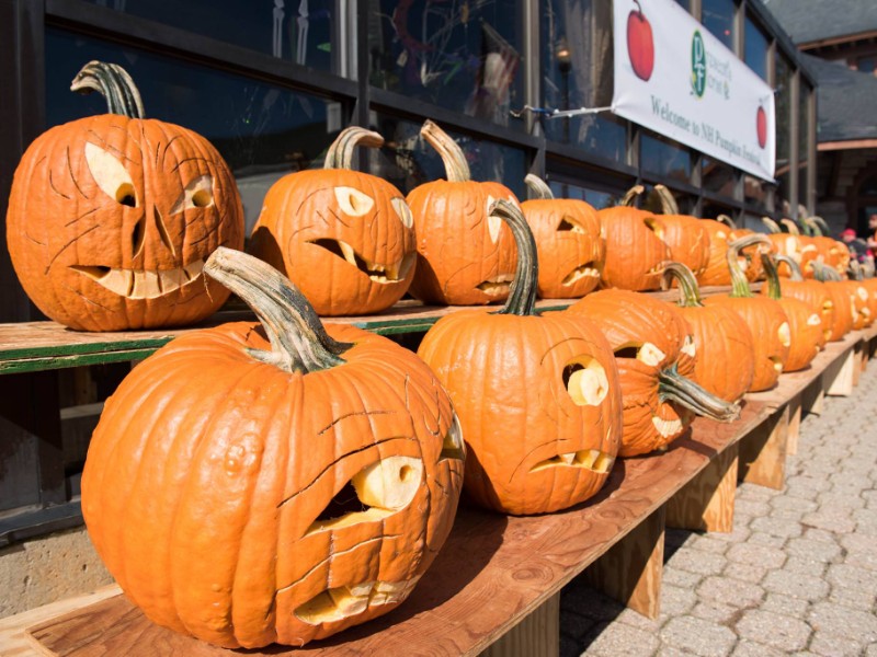 NH Pumpkin Festival