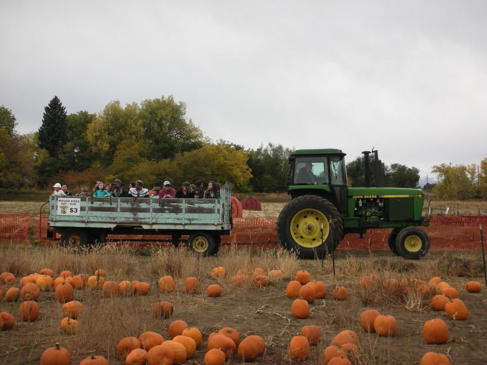 Cottonwood Farms 