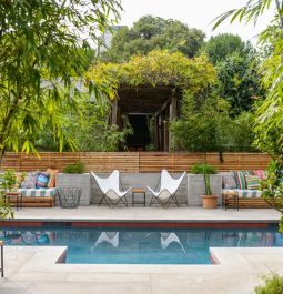 pool surrounded by vegetation