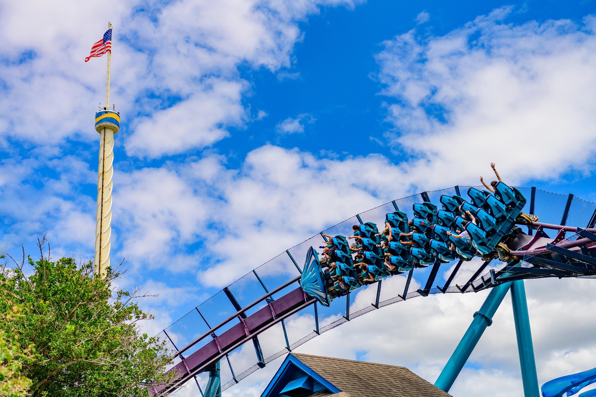 Manta, SeaWorld Orlando