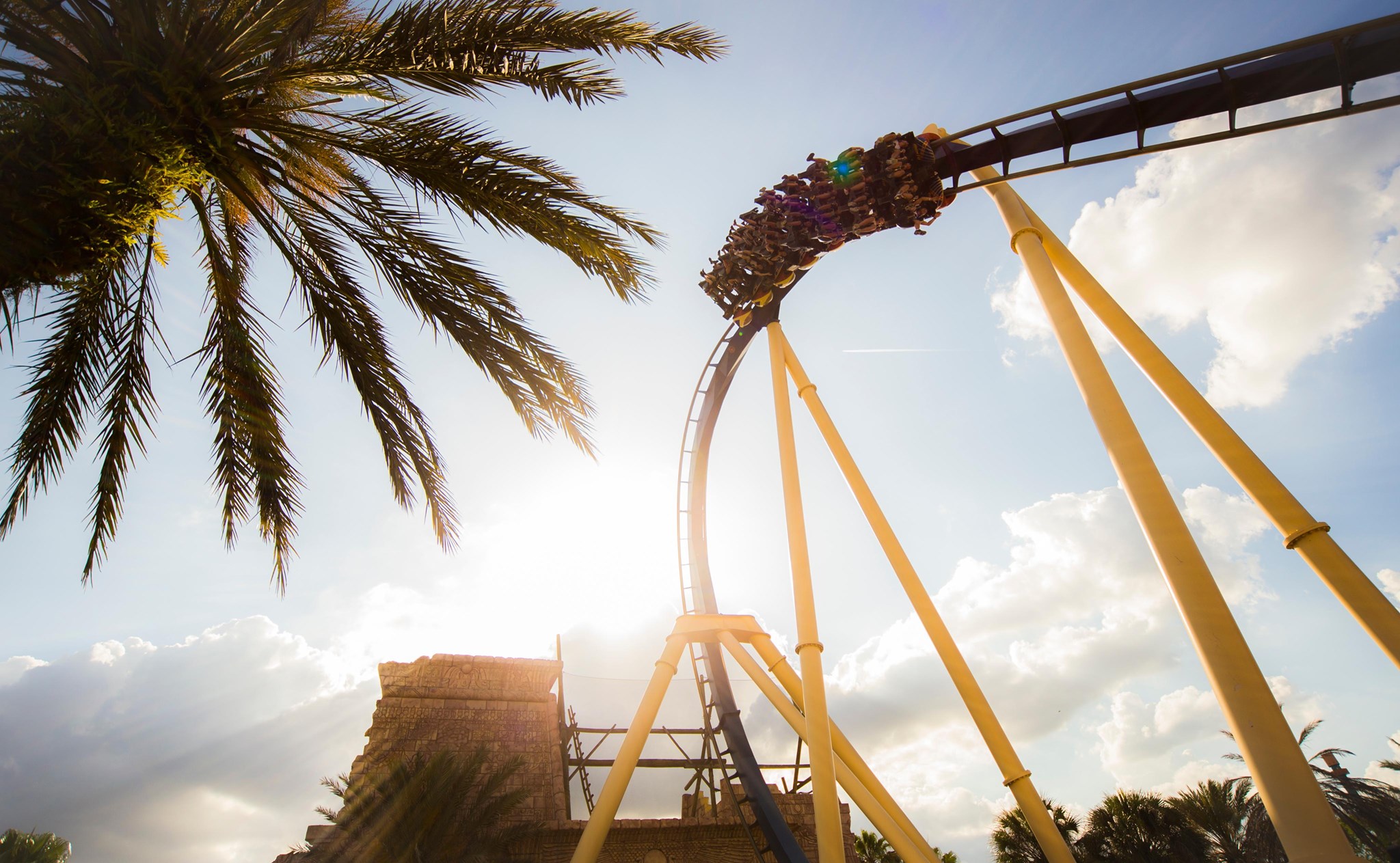 Montu, Busch Gardens Tampa Bay