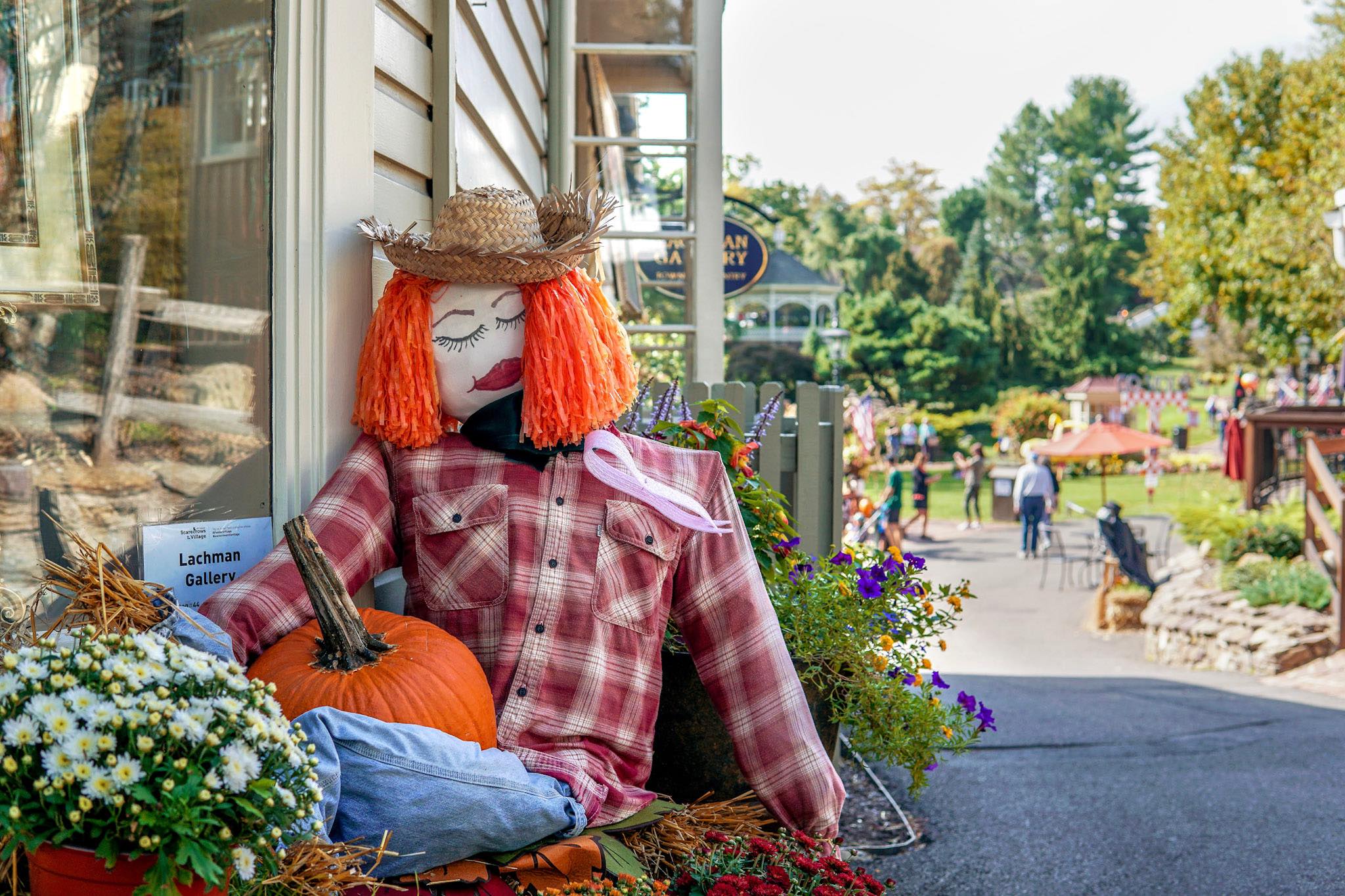 Scarecrows in the Village