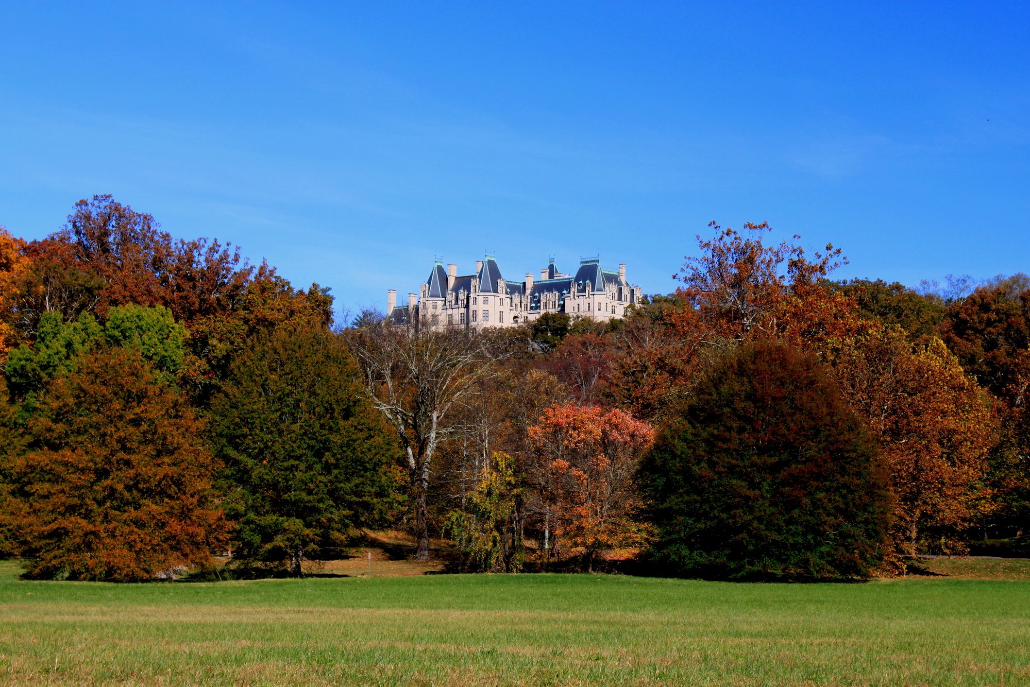 Biltmore Estate