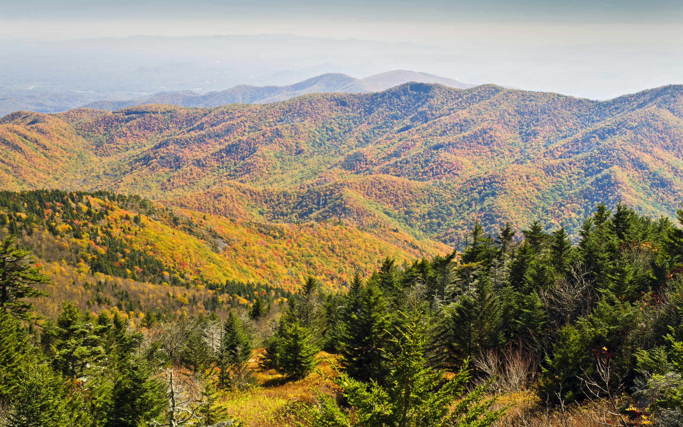 Mount Mitchell