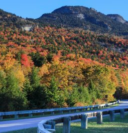 Paved road curves around mountainside that is covered with colorful fall foliage