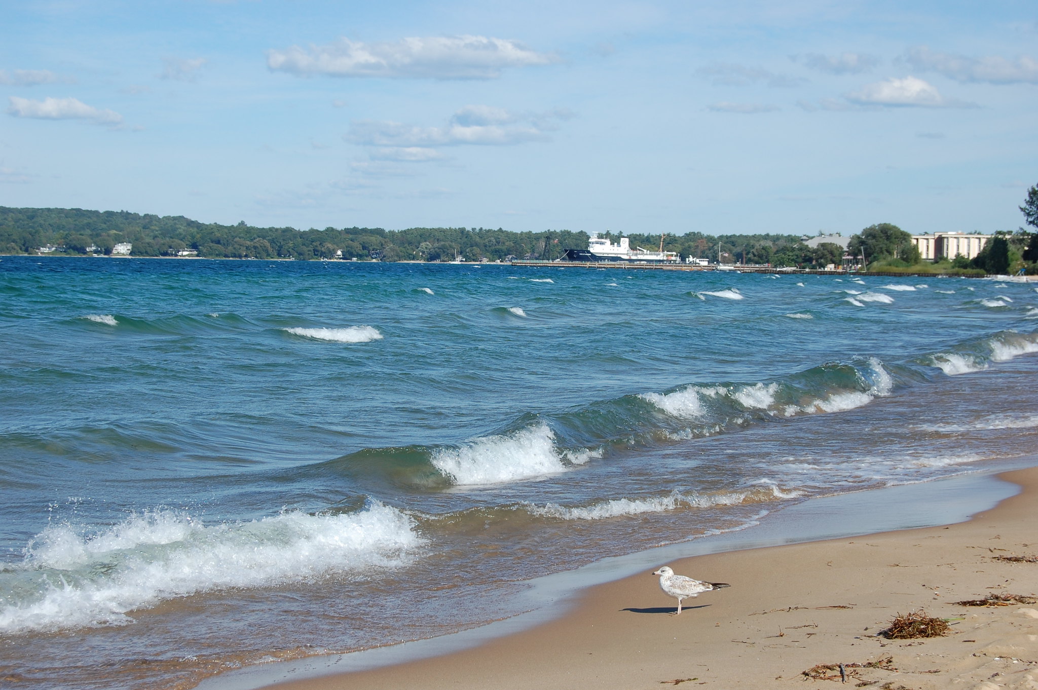 Clinch Park Beach - Traverse City, MI