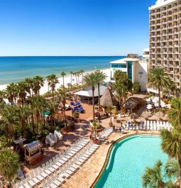 pool and beachfront with palm trees