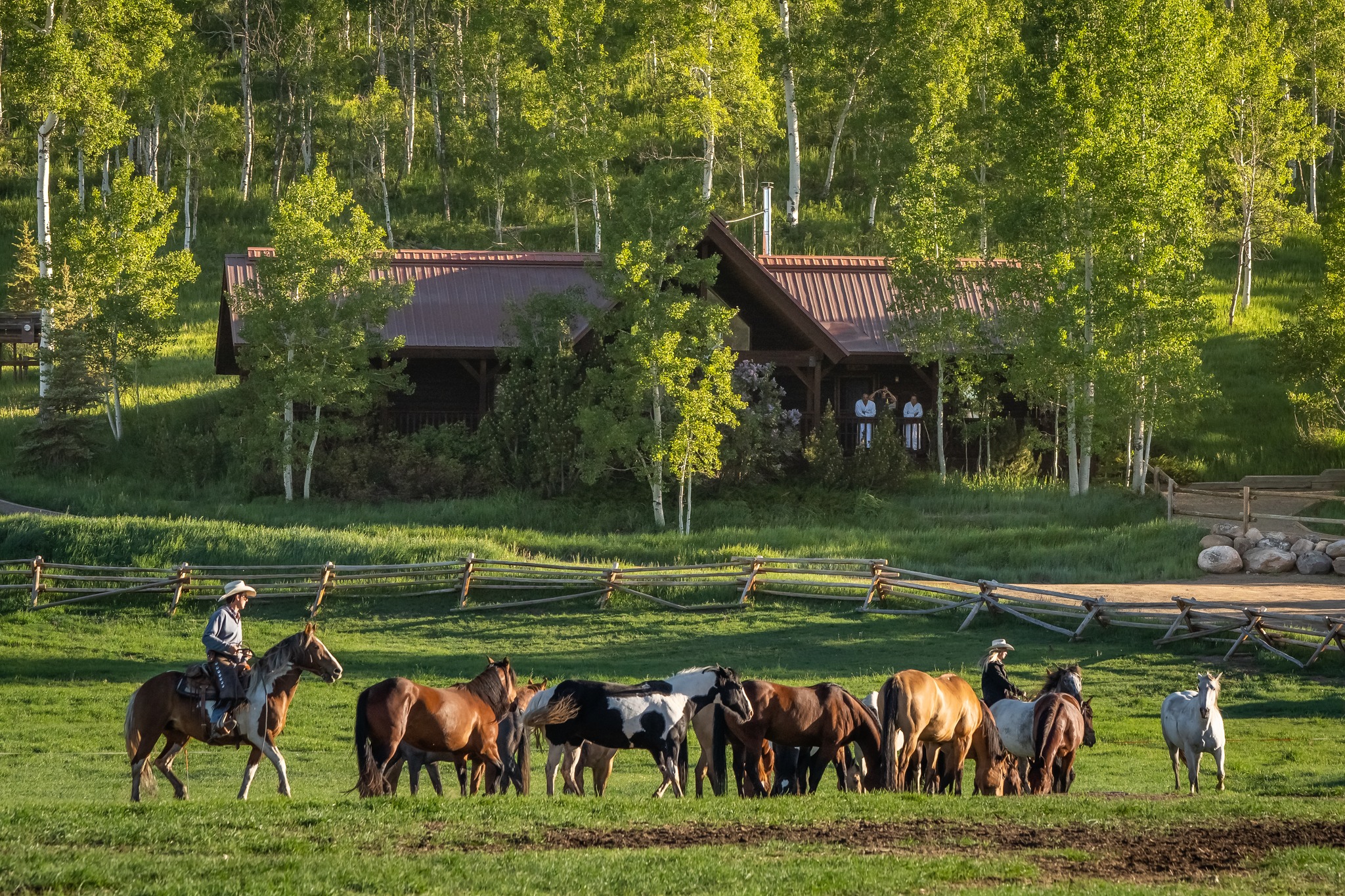 Vista Verde Ranch 