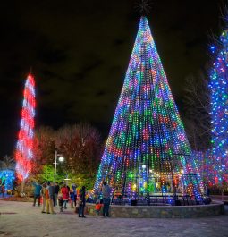 Winter Lights at the NC Arboretum