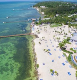 aerial shot of beach in islamorada key