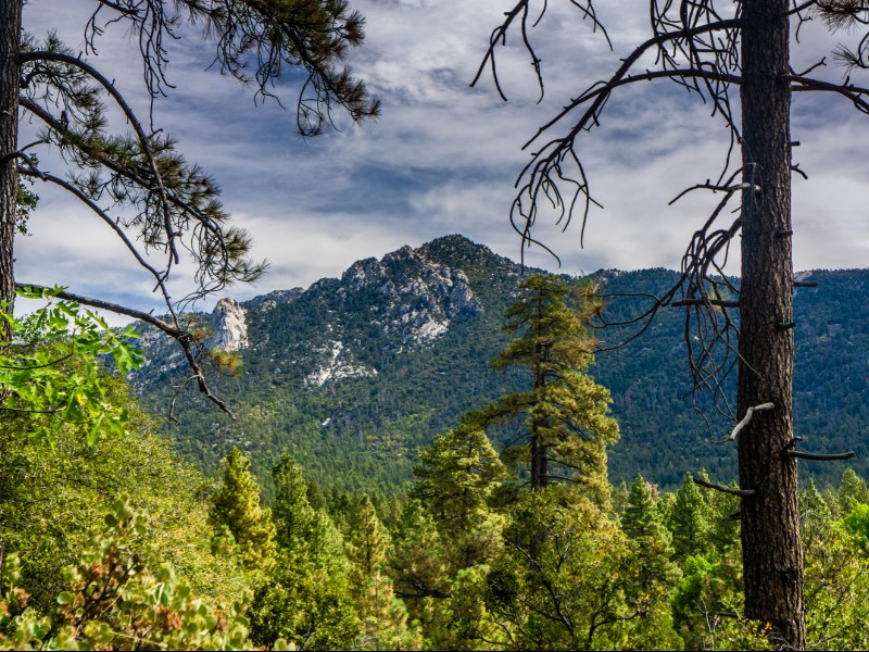 Mountains near Idyllwild, California