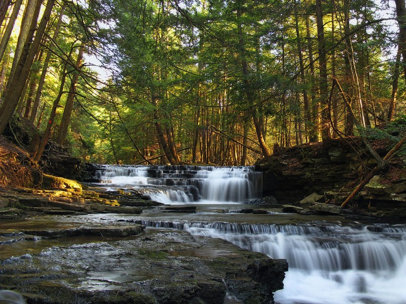 Salt Springs State Park, Montrose, Pennsylvania