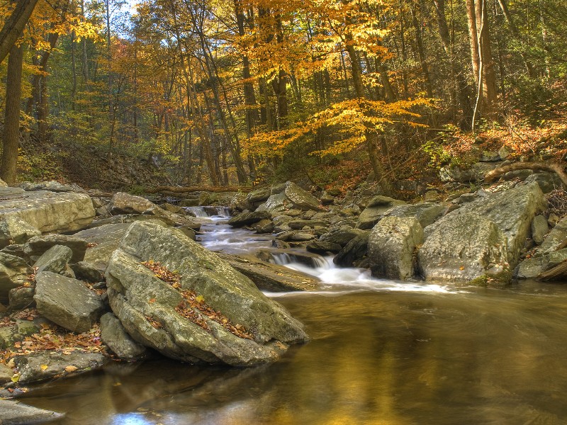 There are lots of trails for hiking and biking in the Catoctin Mountain State Park.