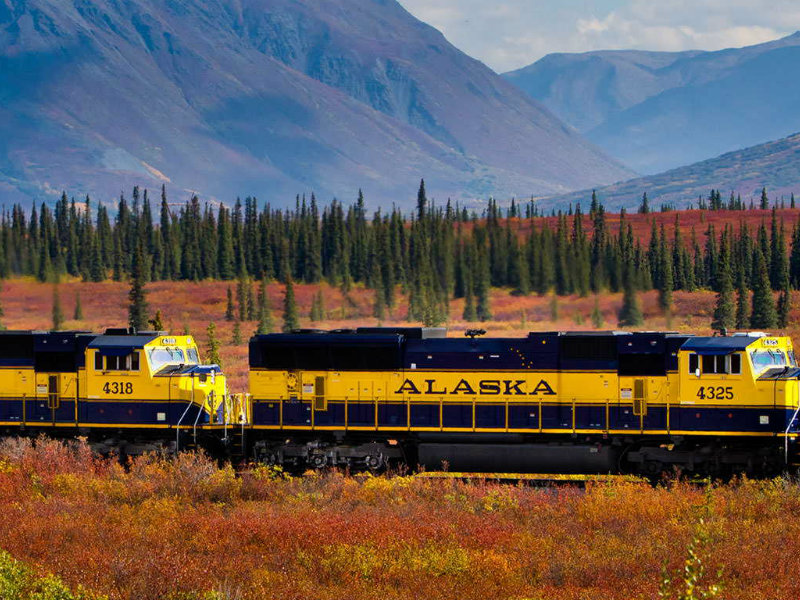 Denali Star Train